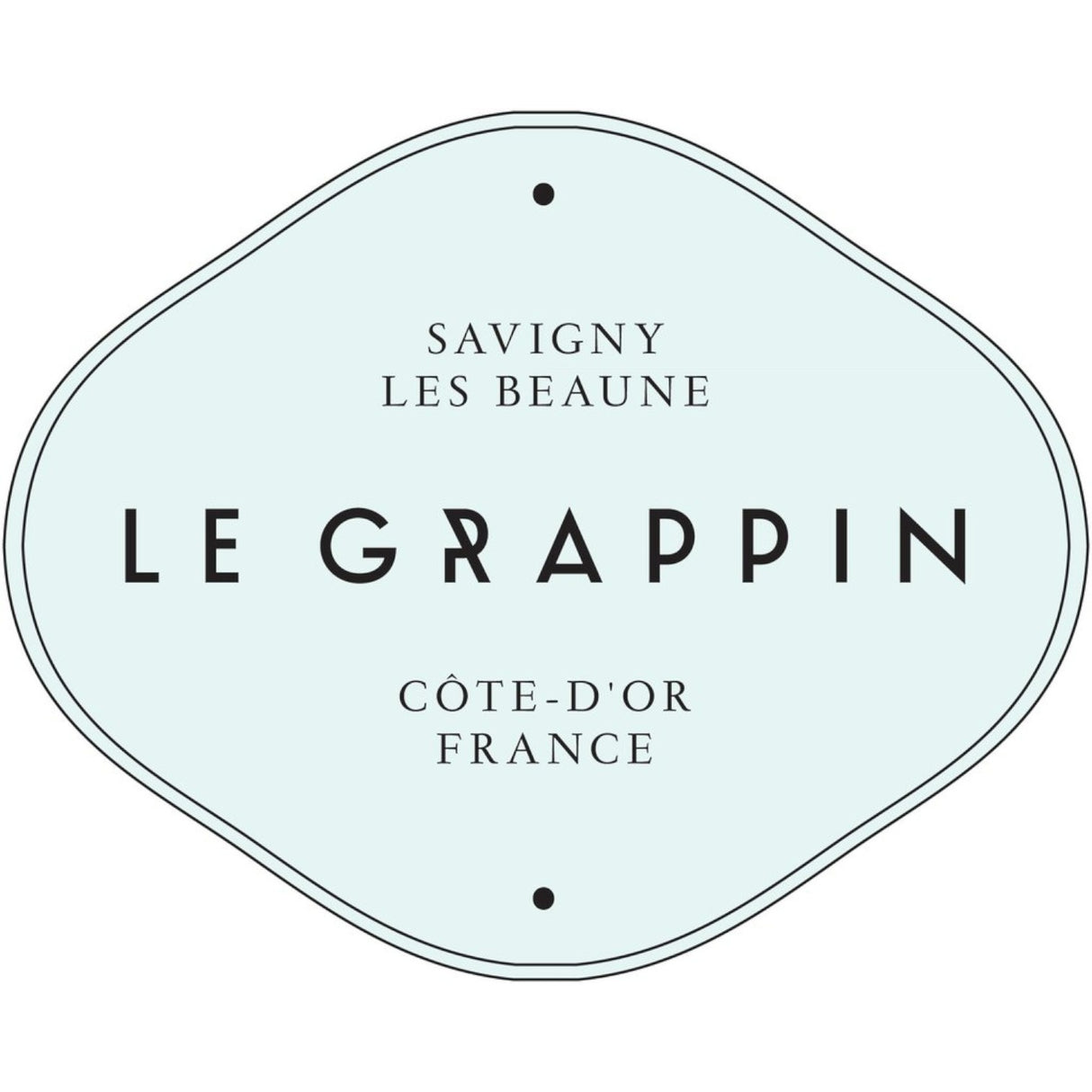 Le Grappin Bojo Nuvo BeaujolaisVillages Gamay 2024 11.5 (1.5l bagnum