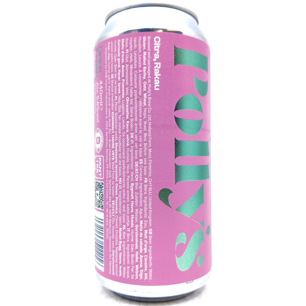 Polly's Brew Co Connecting Anything Pale Ale 5.6% (440ml can)