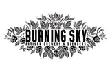 Burning Sky Rustic Table Beer 3% (440ml can)-Hop Burns & Black