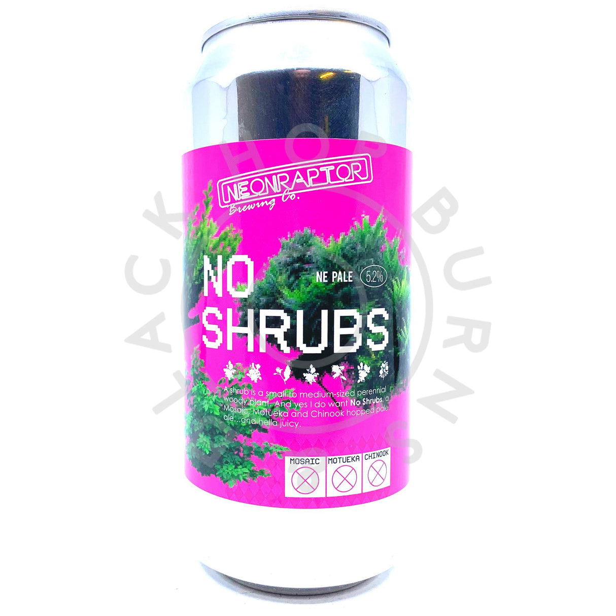 Neon Raptor No Shrubs New England Pale Ale 5.2% (440ml can)-Hop Burns & Black